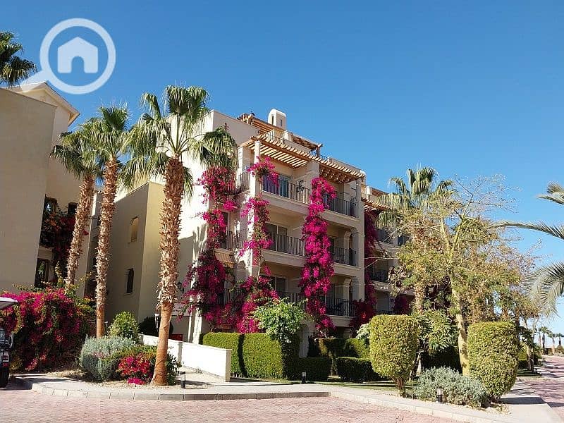 6 20240130_143536. jpg