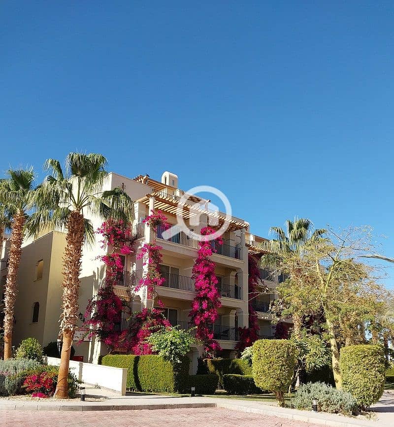 7 20240130_143541. jpg