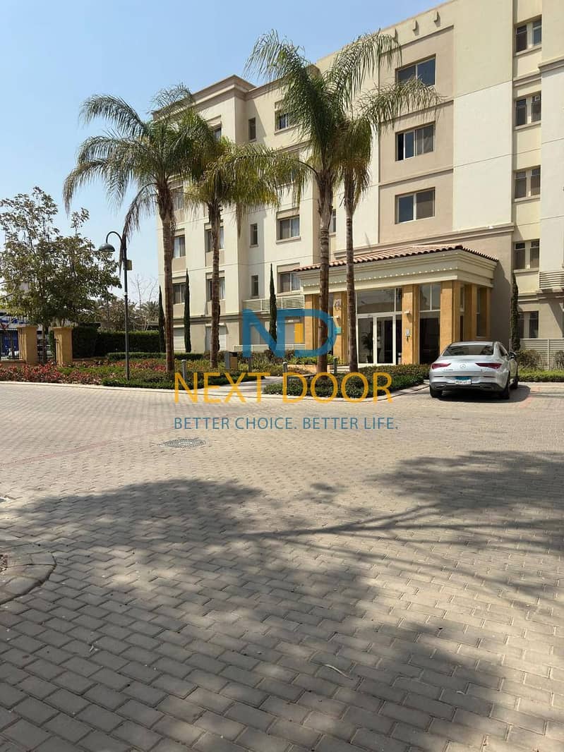 11 546261057_705891155804541_6481430124688157748_n. jpg