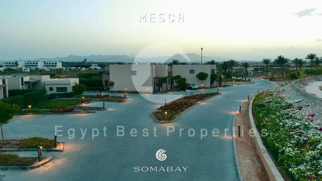 2 WhatsApp Image 2025-09-28 at 18.06. 44_fd507319. jpg