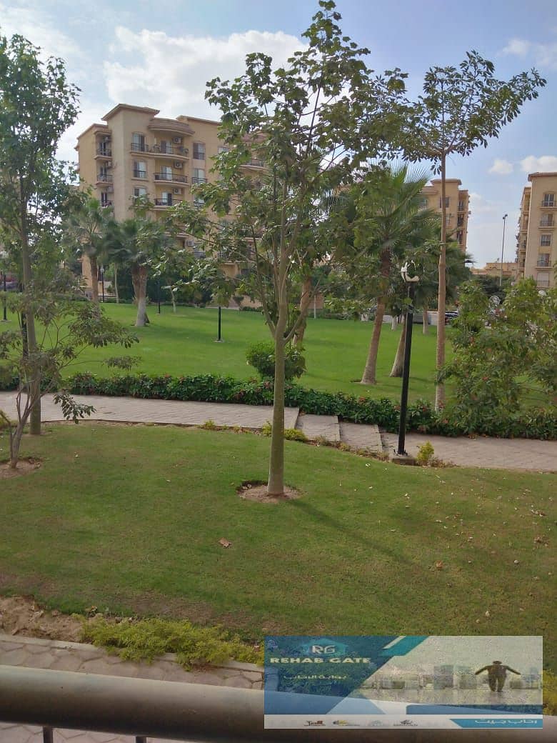 3 WhatsApp Image 2025-11-18 at 2.49. 41 AM. jpeg