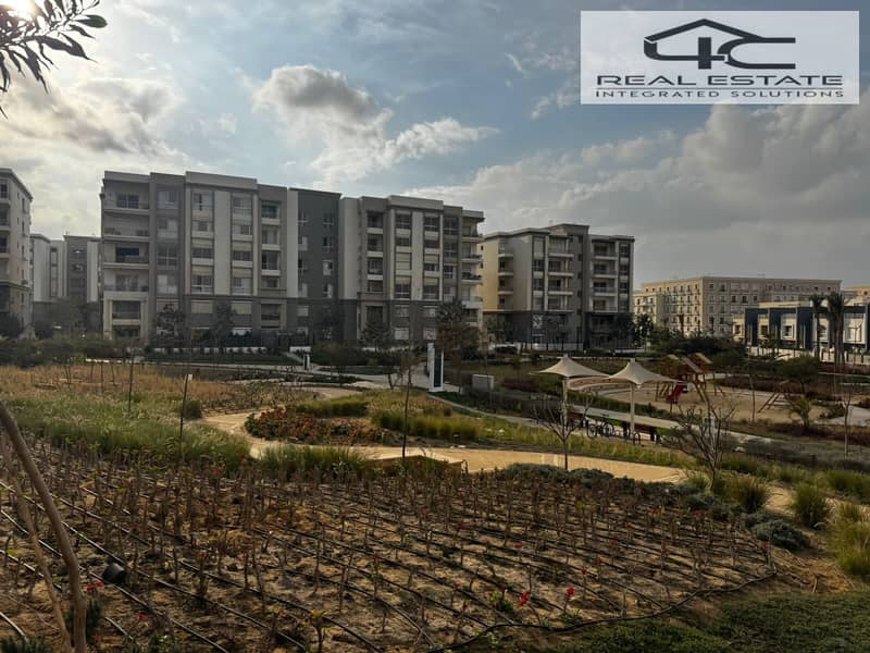 7 WhatsApp Image 2025-07-12 at 5.23. 54 PM (2). jpeg