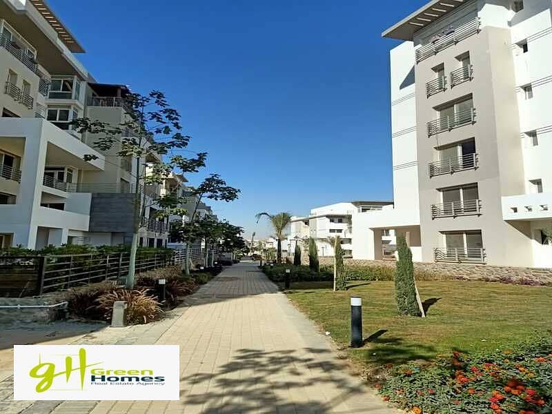 5 d1d9fd03-19df-4085-82df-c4f1c00b49d1. jpg