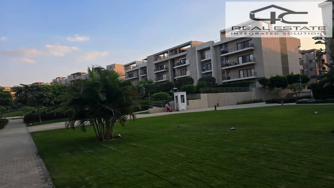 11 20251117_162405. jpg