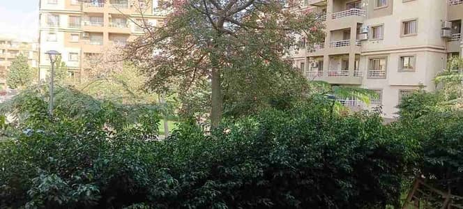 شقة 3 غرف نوم للبيع في مدينتي، القاهرة - 1000174716. jpg