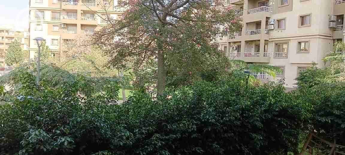 1000174716. jpg 1000174716. jpg