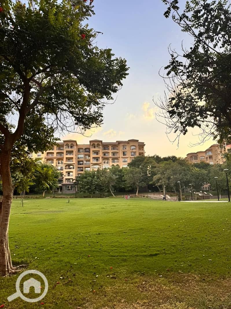 3 صورة واتساب بتاريخ 1447-05-27 في 12.36. 32_ef16e672. jpg