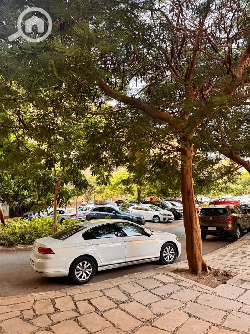 12 صورة واتساب بتاريخ 1447-05-27 في 12.36. 36_a63092f7. jpg