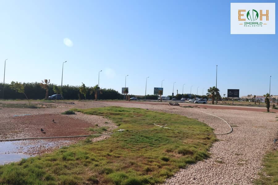 3 IMG_0226 - Copy (2). jpg