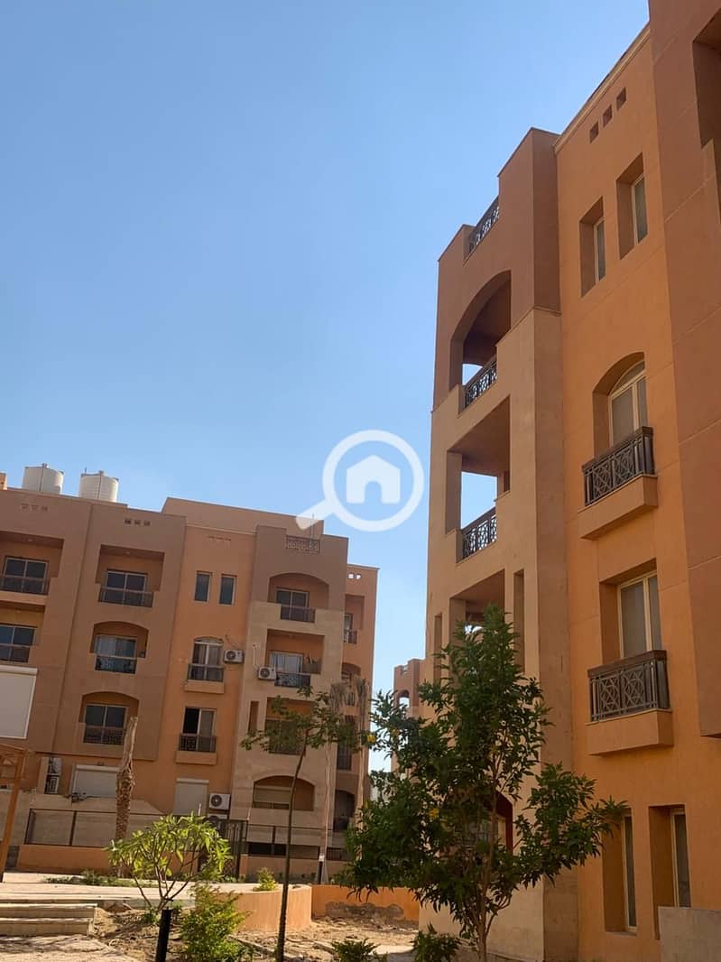 5 0af60b36-021e-4790-b543-02b29cbe0519. jpg