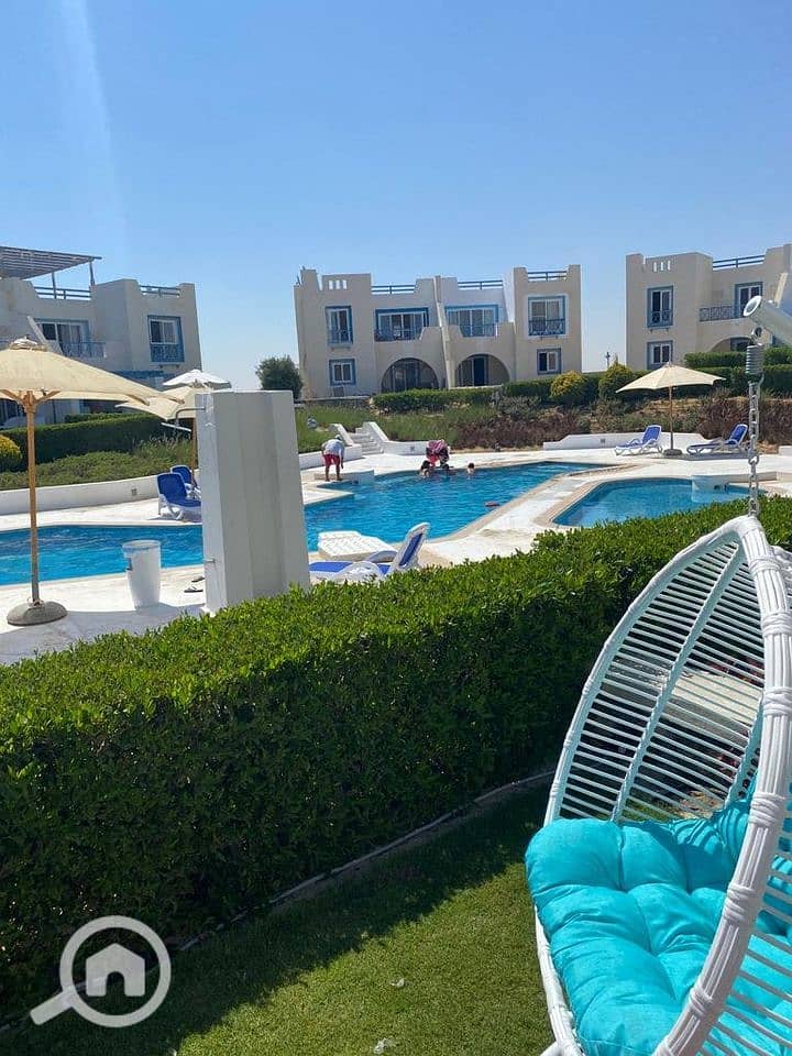 4 284969066_501197741787660_2287897345175807081_n (1). jpg