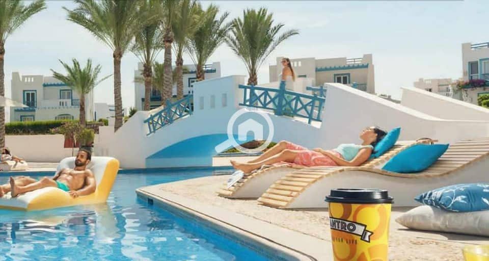 6 283637558_2613915062077302_4826714790381861205_n. jpg