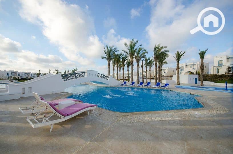 7 283807755_2613915098743965_3039994234409733898_n. jpg