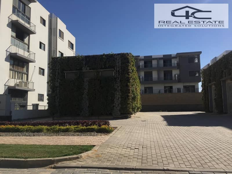 8 221d7729-23f3-4f9a-a6e6-fc338244a439. jpg