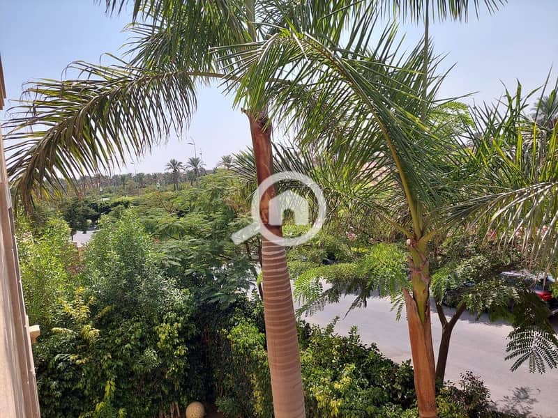 12 366838308_3099576130337179_6654447498431257199_n. jpg