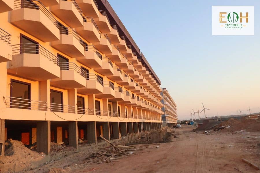 IMG_1601. jpg IMG_1601. jpg