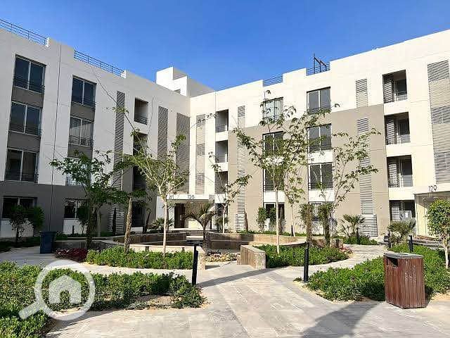 8 520701136_1393442631921611_1642356104918811117_n. jpg