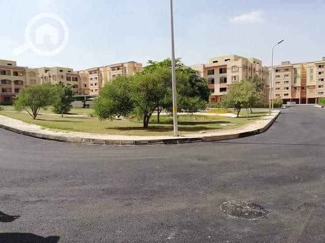 16 a5fc773a-a747-492d-b0a3-86cf248da81aباراديس. jpg