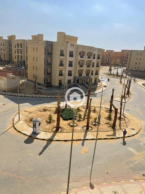 17 e49926d2-4c6c-44b5-adce-9b84b7ef8419باراديس. jpg