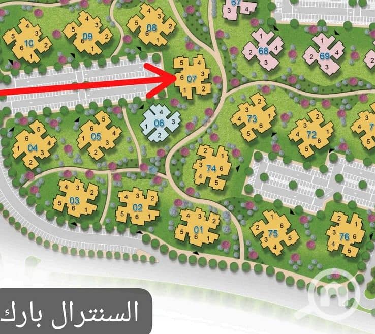 3 WhatsApp Image 2. jpeg