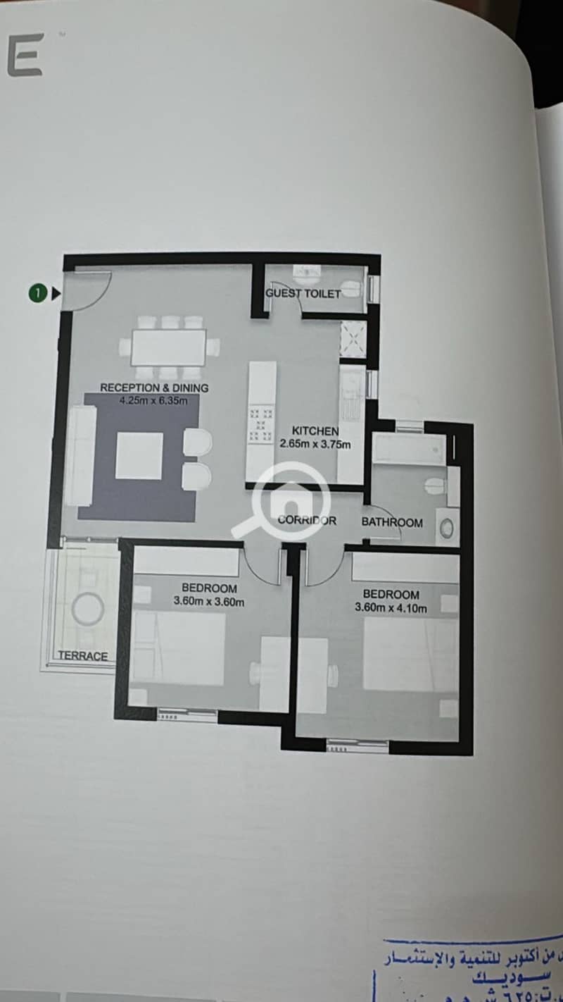 2 25ebab00-8c3a-4da0-a767-fea6b91ff089. jpeg