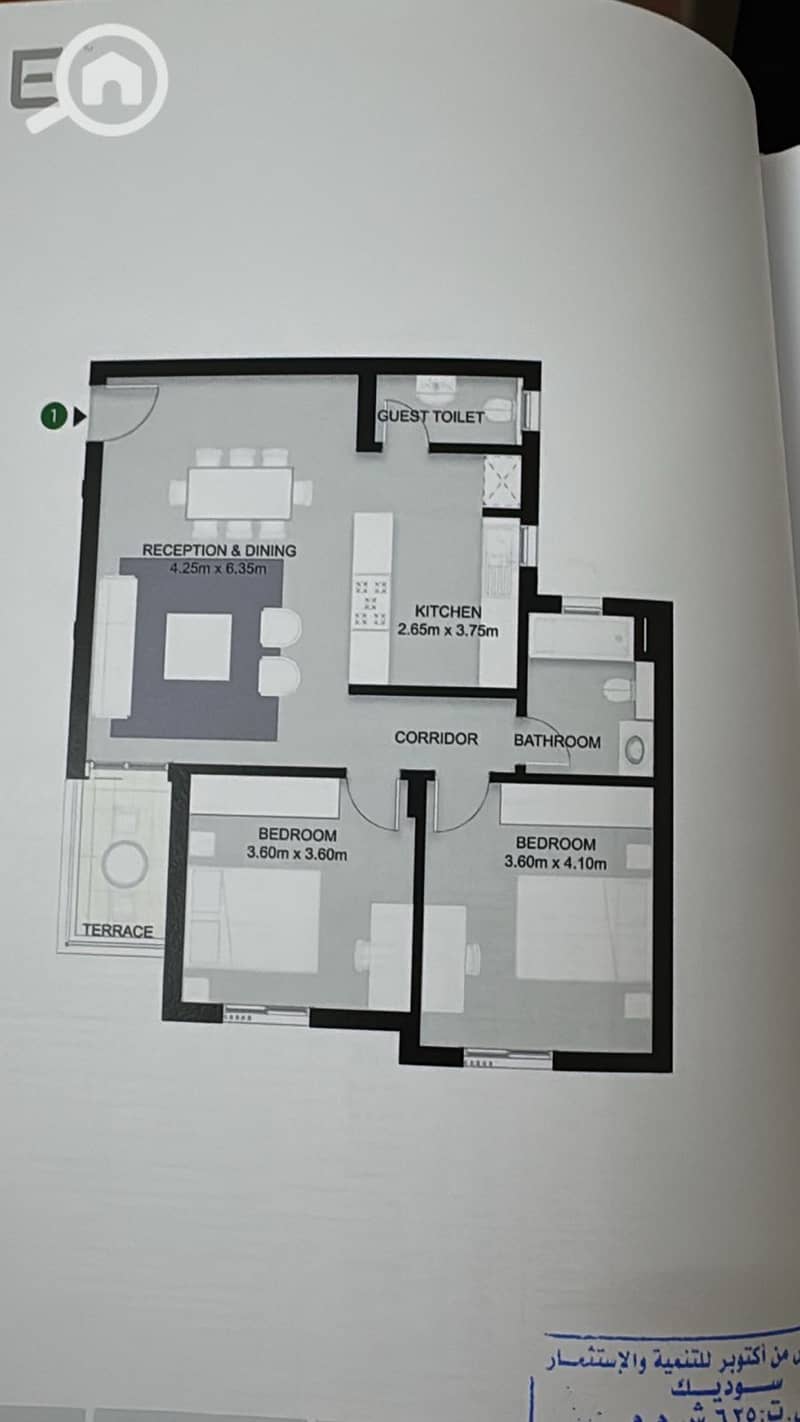 4 25ebab00-8c3a-4da0-a767-fea6b91ff089. jpeg