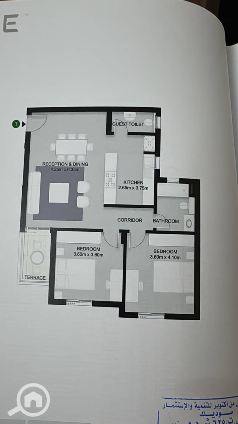 10 25ebab00-8c3a-4da0-a767-fea6b91ff089. jpeg