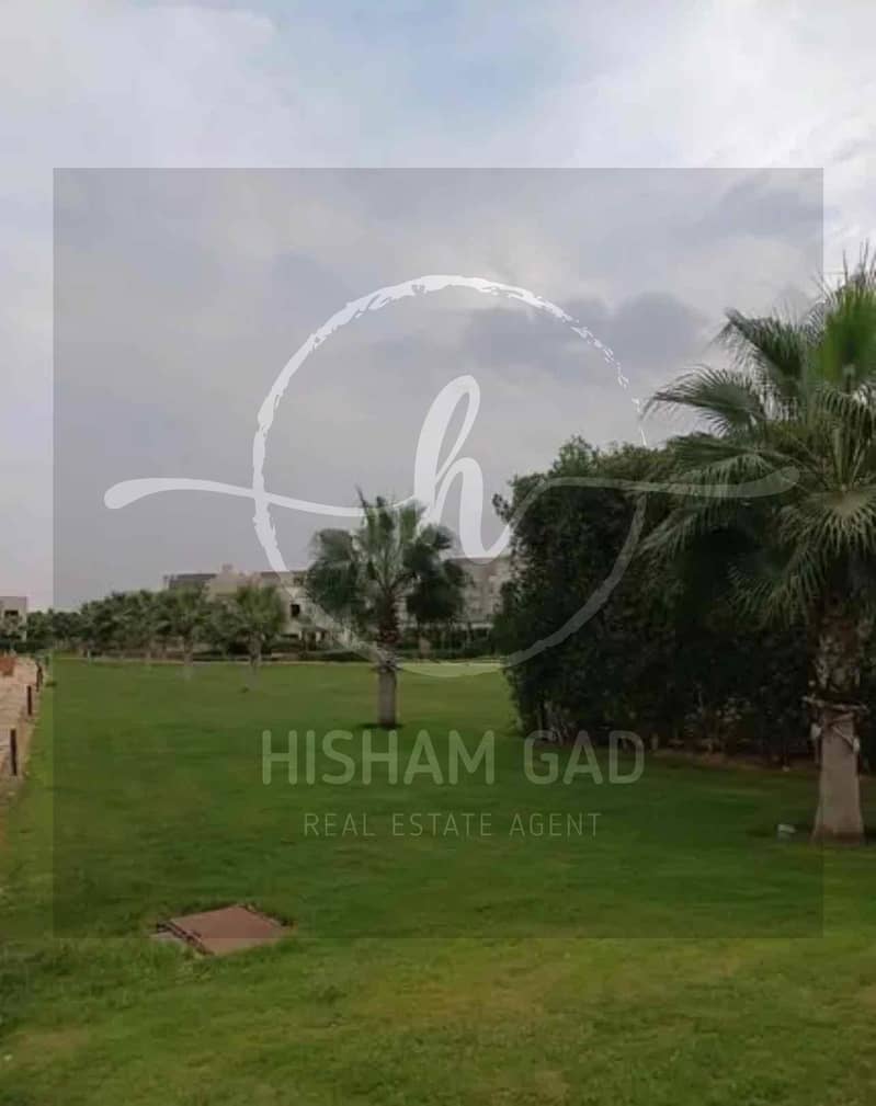 4 f6c6fa9a-2e90-4251-b048-aa1d486edff0. jpg