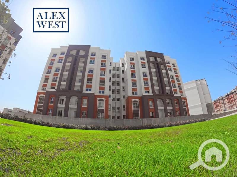 7 IMG-20250220-WA0042. jpg