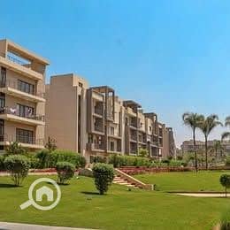 12 568678470_2379277879186480_9028893148493238451_n. jpg