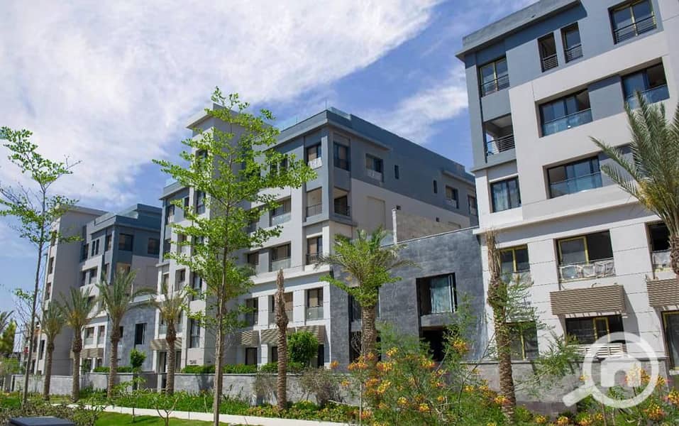 WhatsApp Image 2025-10-12 at 8.02. 44 PM (3). jpeg