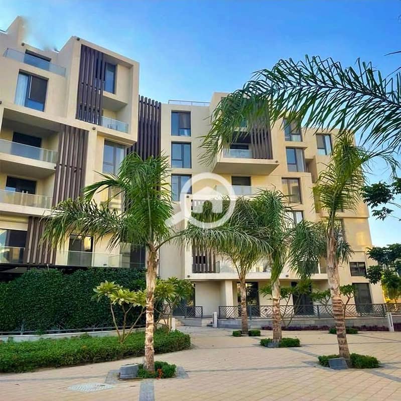 529813506_2249402162177336_1412869783860305924_n. jpg