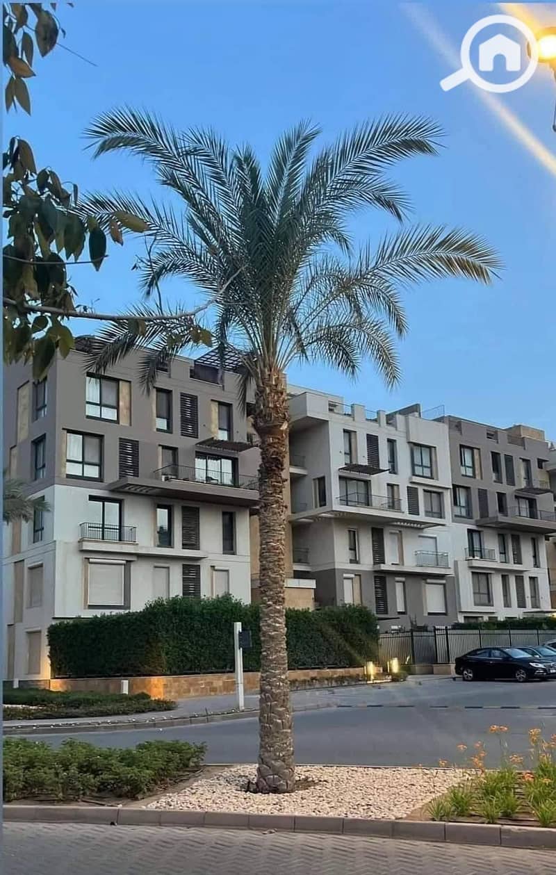 7 565674956_122194654754324160_5470858835331959635_n. jpg