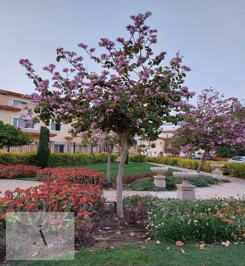 8 WhatsApp Image 2025-05-22 at 12.46. 46 PM (1). jpeg