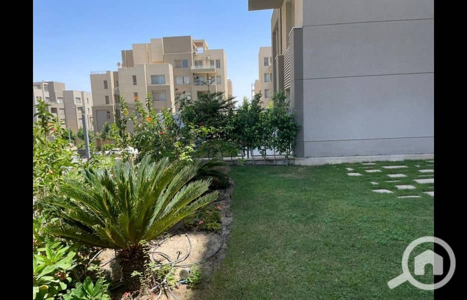 7 481236505_1232502228885311_452607781031762181_n. jpg