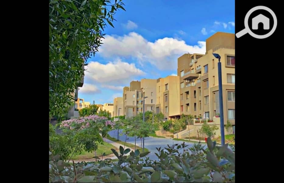 9 482029406_1240656578069876_1447297489258944994_n. jpg