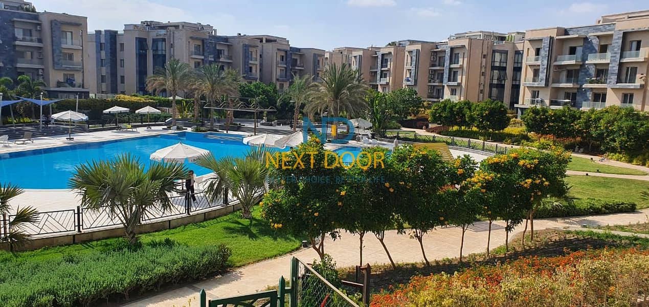 6 546963451_10237303300819362_5825263036885939652_n. jpg