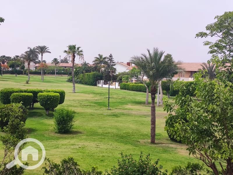 8 487481283_4048522218761325_7841413871295829472_n. jpg