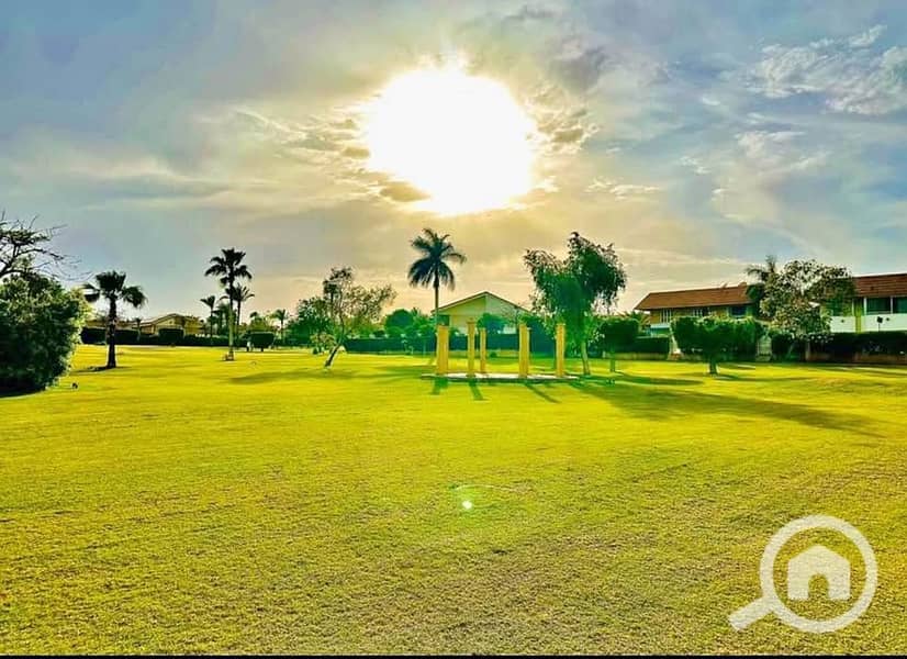 9 508475855_24379075415033143_8266574853314309006_n. jpg