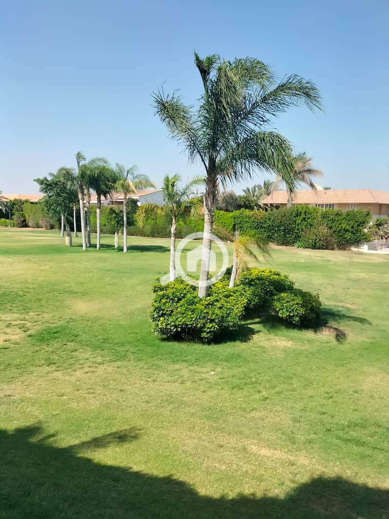 10 492012248_1915542549189304_367552130690010103_n. jpg