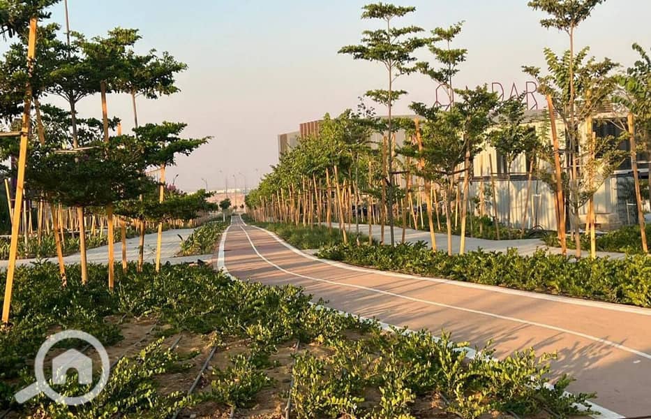 9 493237645_1237059161166813_3505570564991328977_n. jpg