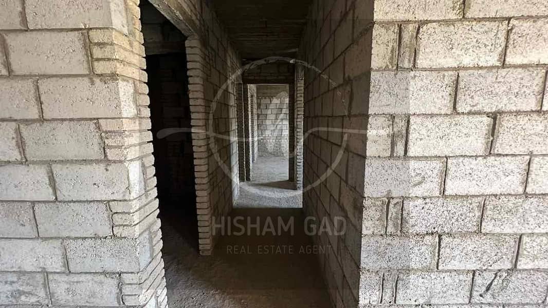 10 9c03d69b-e8af-42d2-9970-756511873d24. jpg