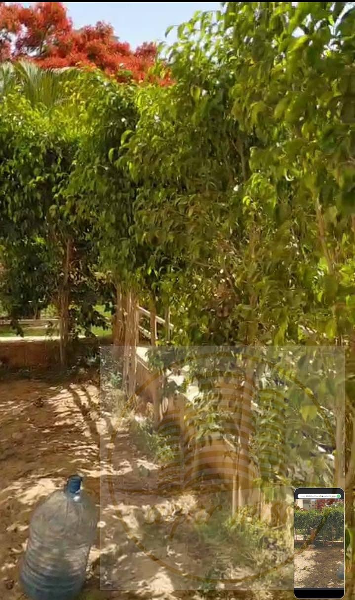 9 WhatsApp Image 2025-11-18 at 12.57. 24 PM. jpeg