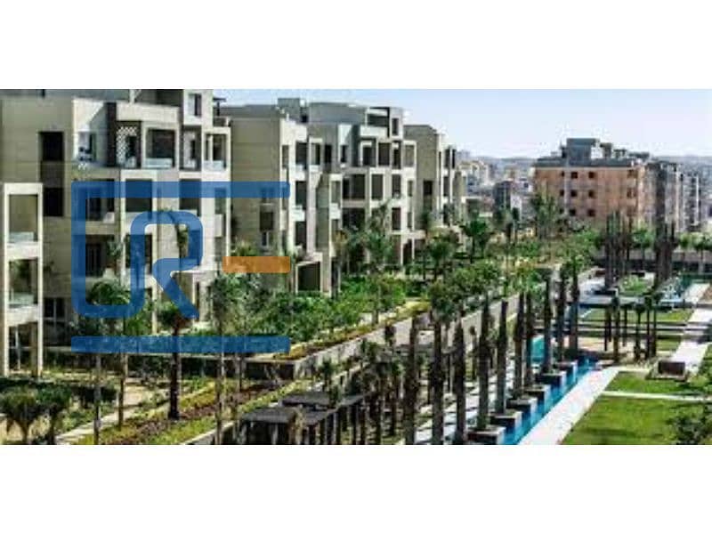 8 images - Copy (2). jpg