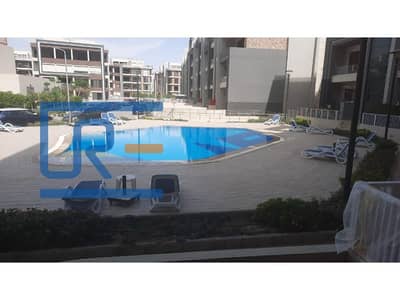 فلیٹ 3 غرف نوم للايجار في القاهرة الجديدة، القاهرة - 1ba388ff-7854-40eb-9775-647a1ddf8068. jpg