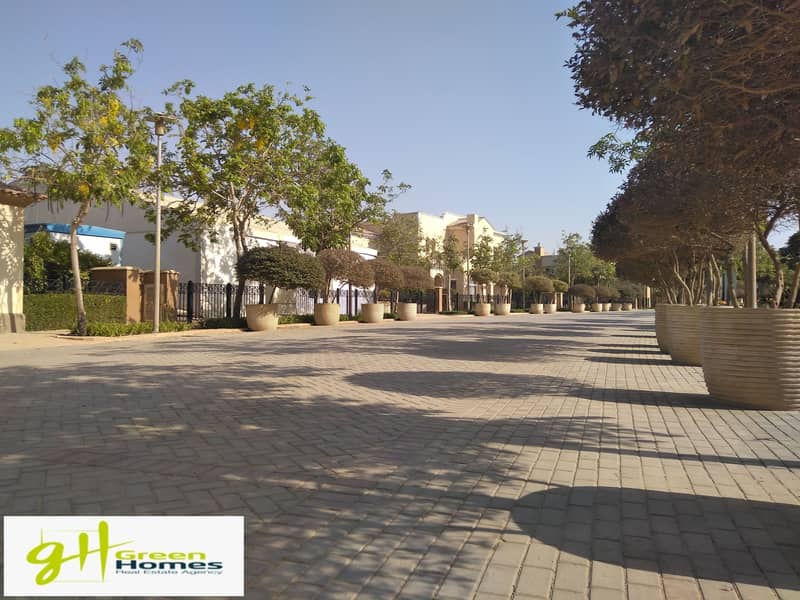 7 IMG_20200727_155756. jpg