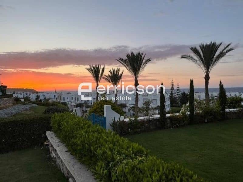 3 Untitled design (2). jpg