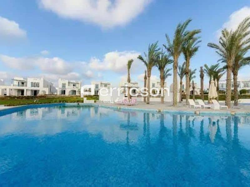 7 Untitled design (8). jpg