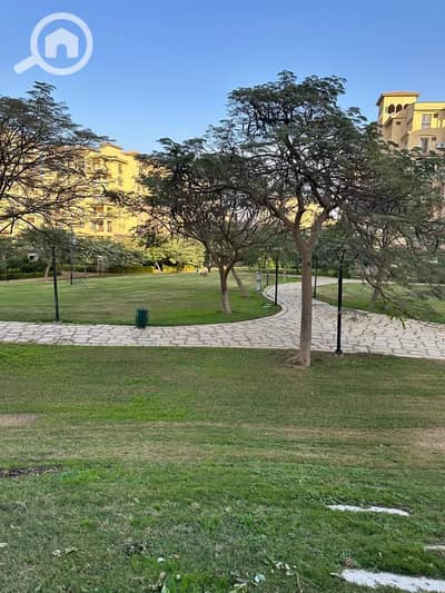 3 Bedroom Apartment for Rent in Madinaty, Cairo - 5776409350594300707. jpg