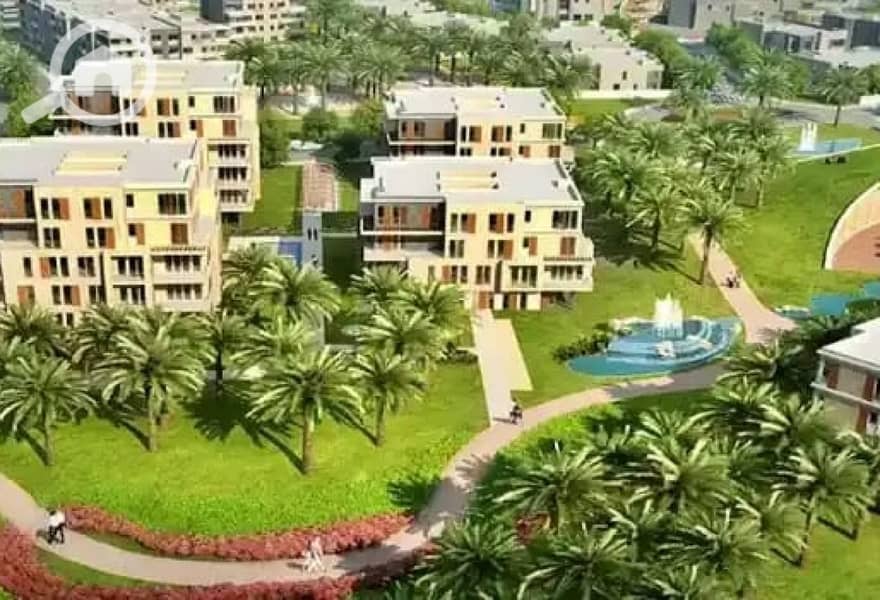 13 35964efc-031e-4d23-8fe2-f852331bab36. jpg